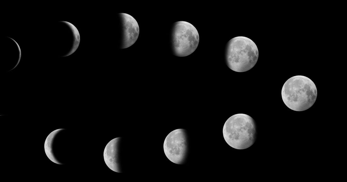 What is the Lunar Calendar? The Habitat