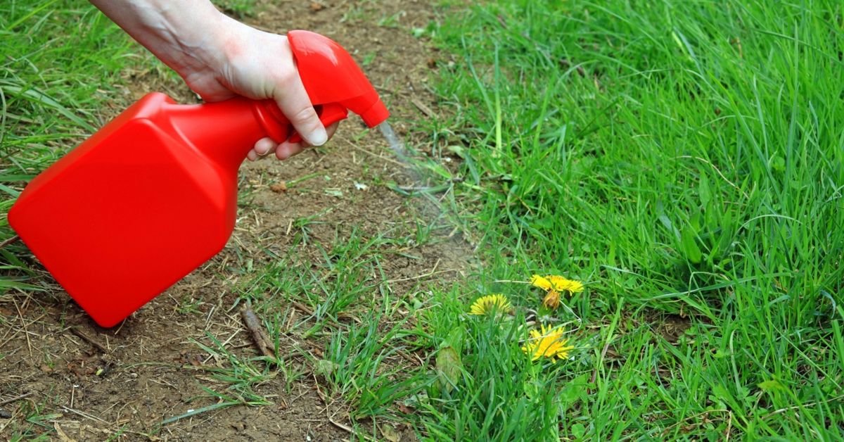 How to Make Homemade Weed Killer The Habitat