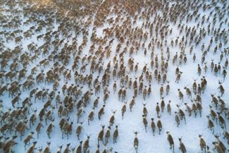Where Are The Coldest Places on Earth?