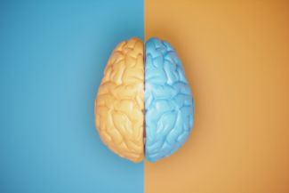 What is Left Brain and Right Brain Thinking?