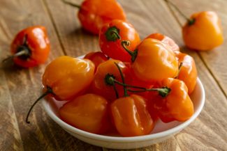 These Are the Hottest Peppers on the Planet