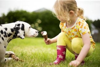 How To Get Rid of Chiggers