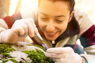 Expert Advice for Conducting a Productive Experiment