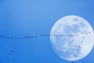 What Are Each Month's Full Moon Names and Meanings?