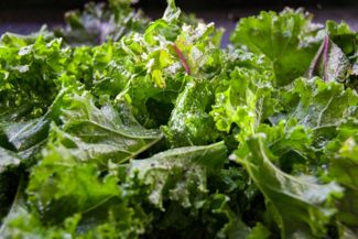 Can You Freeze Kale?