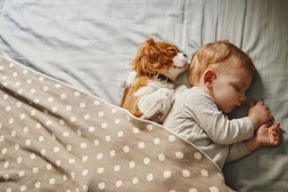 Why Do People Dream?
