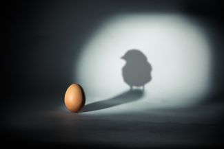What is a Paradox and Why is it Important?