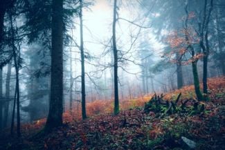 What is a Wendigo?