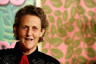 Who is Temple Grandin?