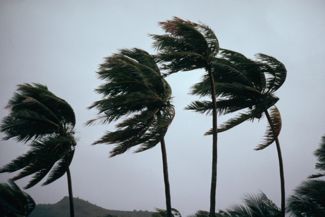 Why Do Hurricanes Happen?