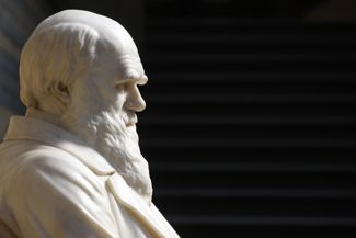 Who Was Charles Darwin?