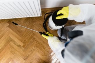 Got a Roach Problem? Here's What to Do