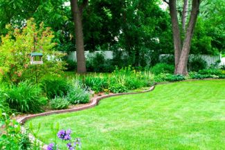 DIY Lawn Edging Ideas for Your Yard