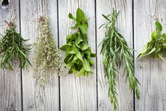 Fill Your Pantry With Home-Dried Herbs