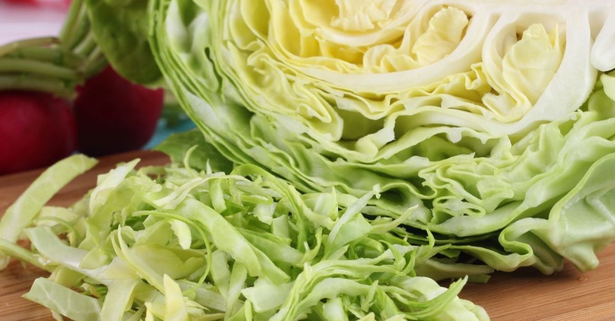 How to Cook Cabbage The Habitat