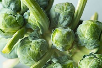 Tips for Successfully Growing Brussels Sprouts