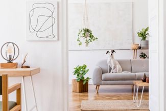 Turn Your Living Room into a Minimalist Paradise