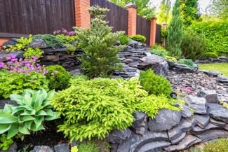 Inspired Rock Garden Ideas for Every Style