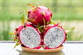 15 Simple Tips for Growing the Dragon Fruit Plant