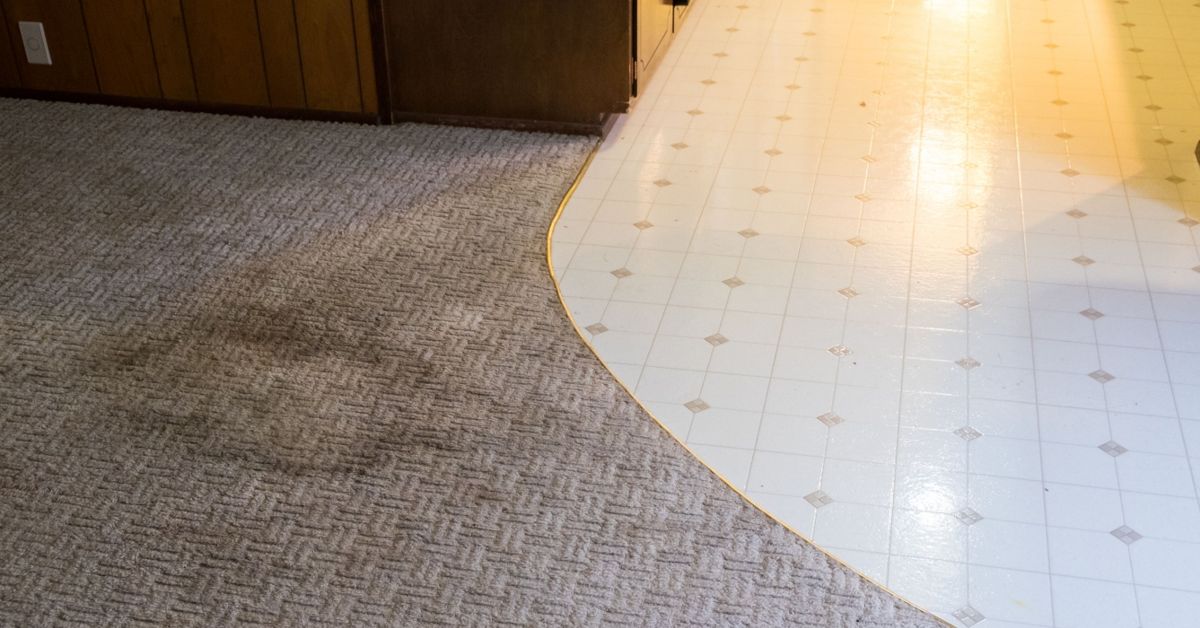 Decorating Alternatives to Replacing an Ugly Carpet The Habitat