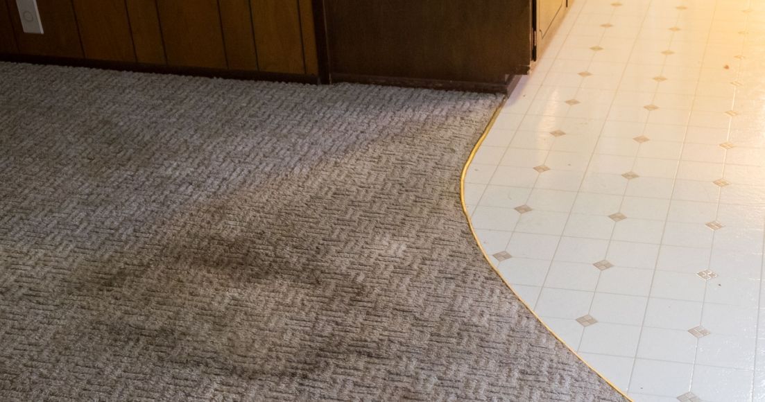 Decorating Alternatives to Replacing an Ugly Carpet The Habitat