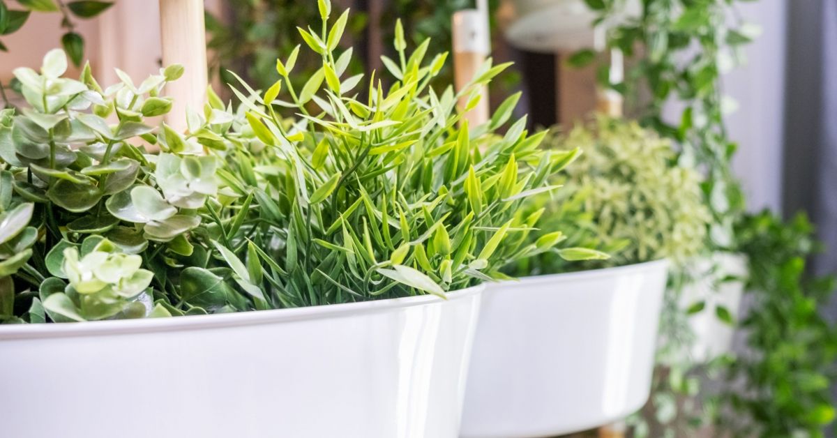 Decorating With Artificial Plants The Habitat