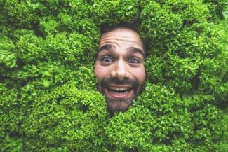 The Weird, Wacky World of Stock Photos
