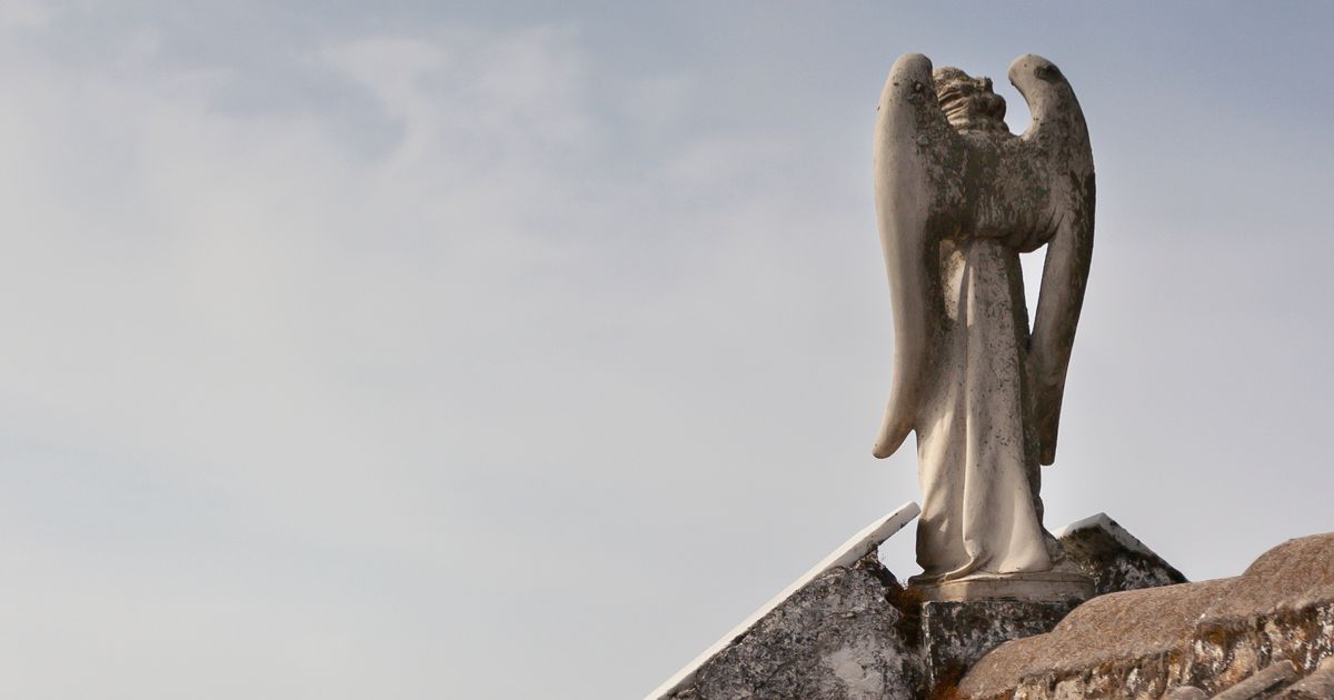 What Does Each Angel Number Mean? The Habitat