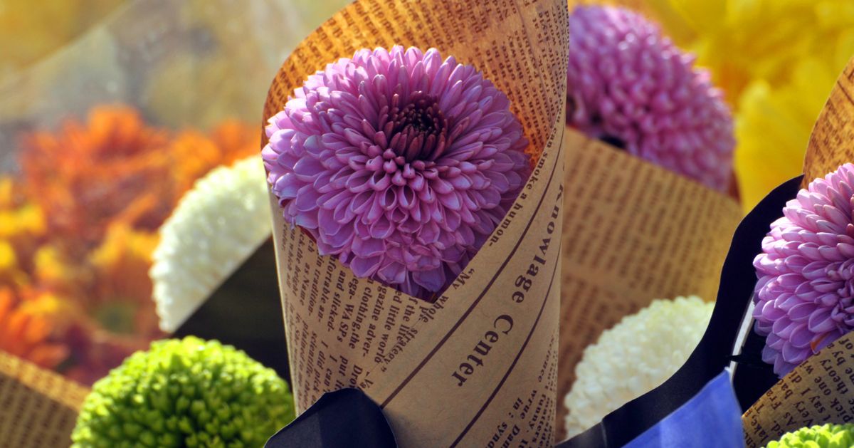 Creative Ways to Reuse Newspaper The Habitat