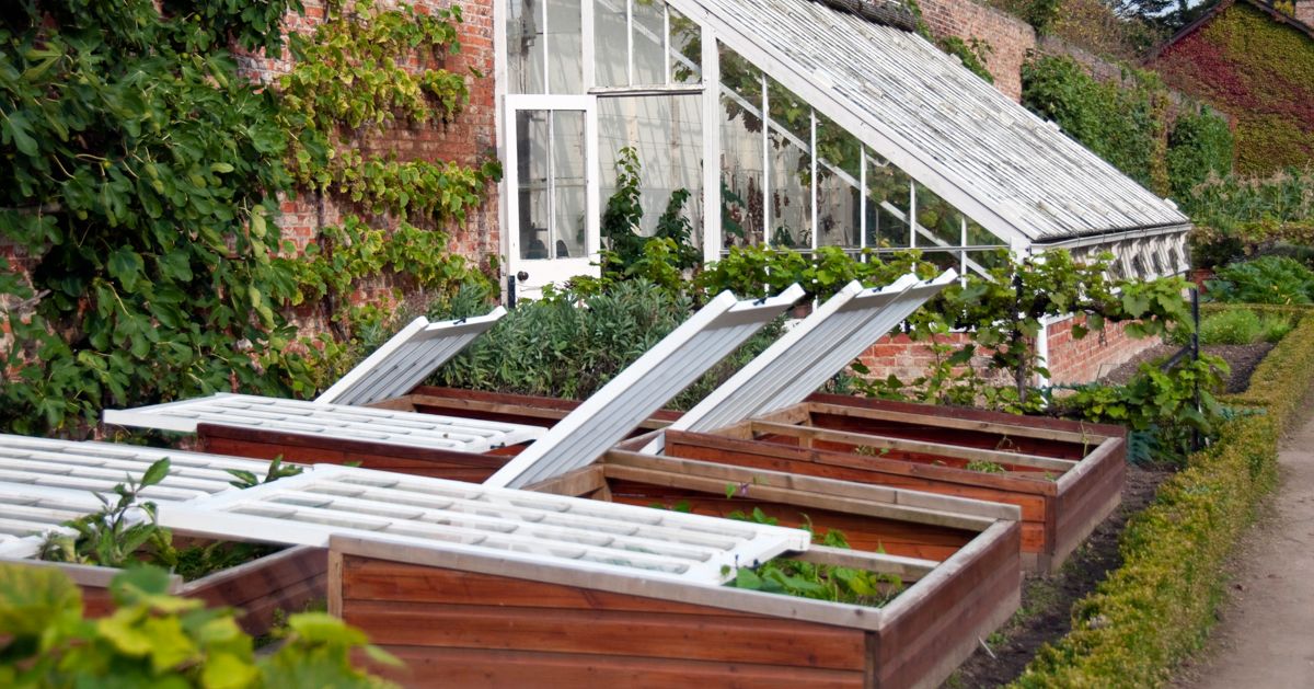 How To Use Cold Frames In Your Garden The Habitat