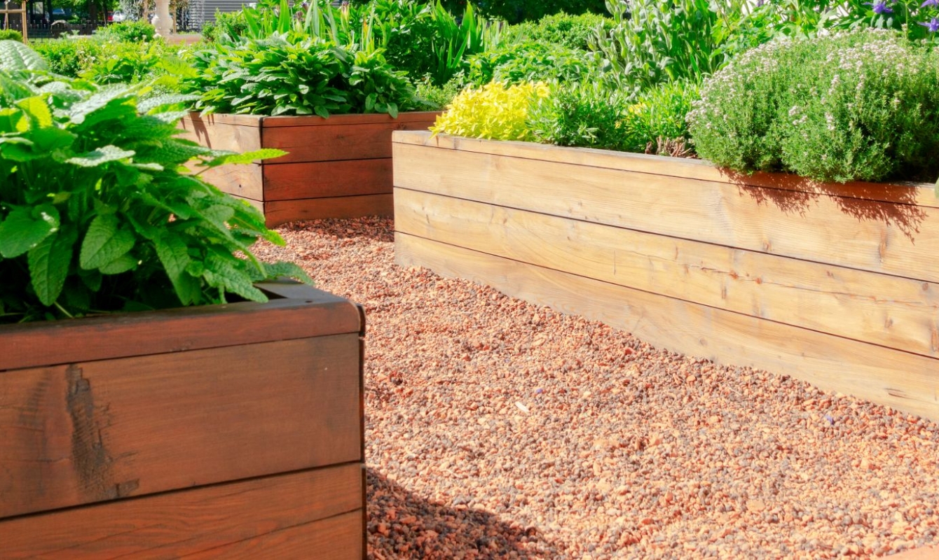 Grow a Backyard Bounty with Raised Garden Beds - The Habitat