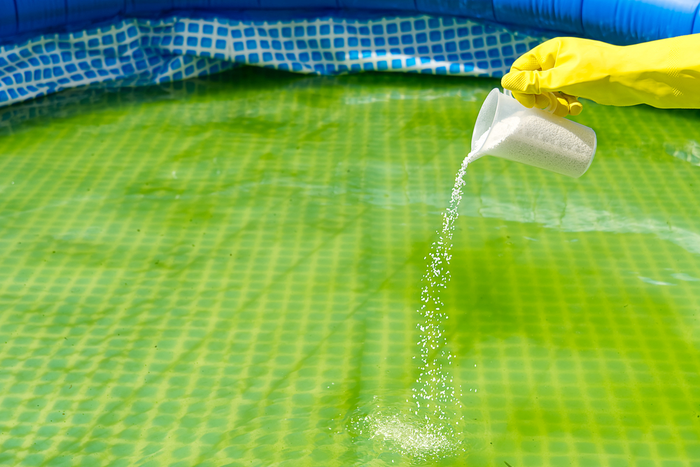 Causes of Cloudy Pool Water and How to Beat It The Habitat