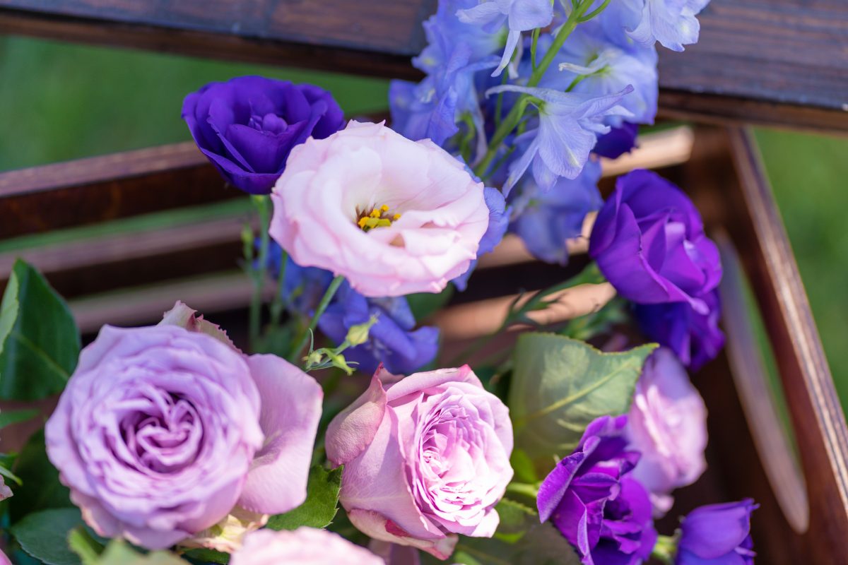 Maximizing the Beauty of Your Lisianthus Plants The Habitat