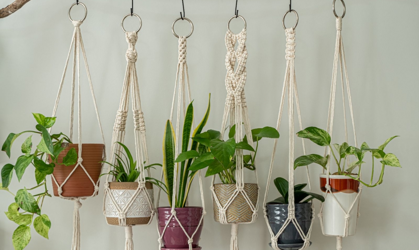 Create an Easy DIY Macrame Planter The Habitat
