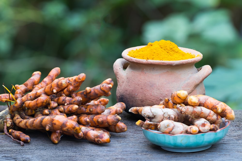 How to Plant and Grow Turmeric The Habitat