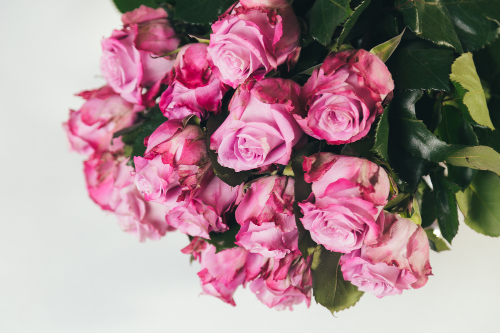 How to Preserve Your Wedding Bouquet The Habitat