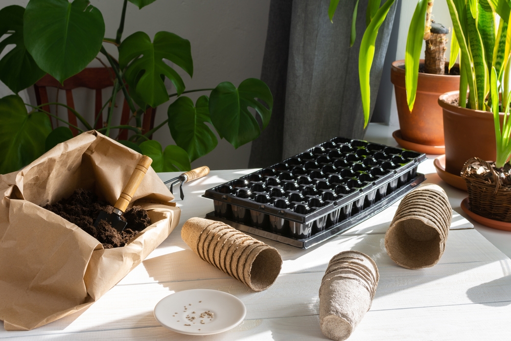 Start Your Vegetable Garden Indoors The Habitat