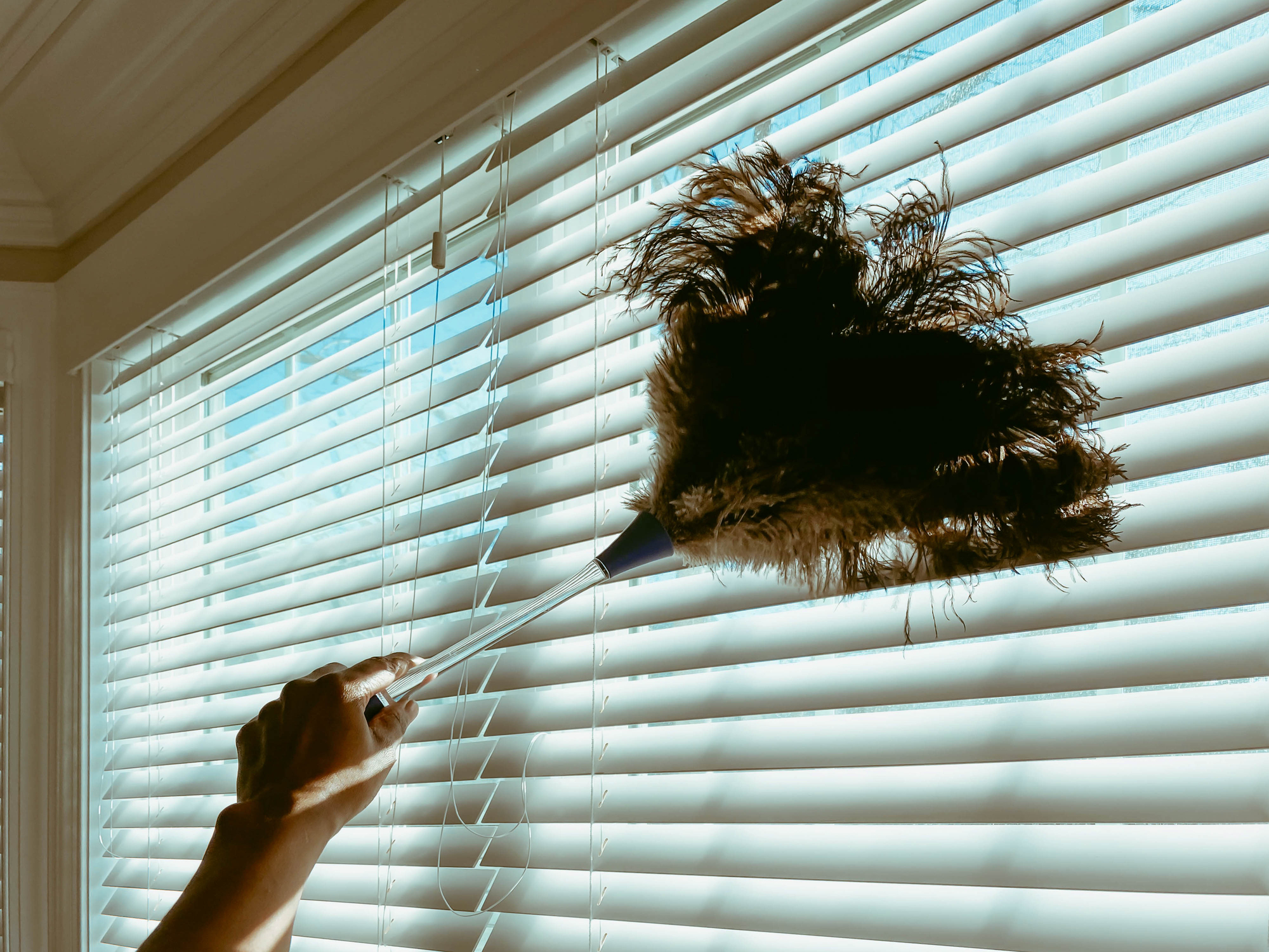 10 Awesome Window Cleaning Hacks The Habitat
