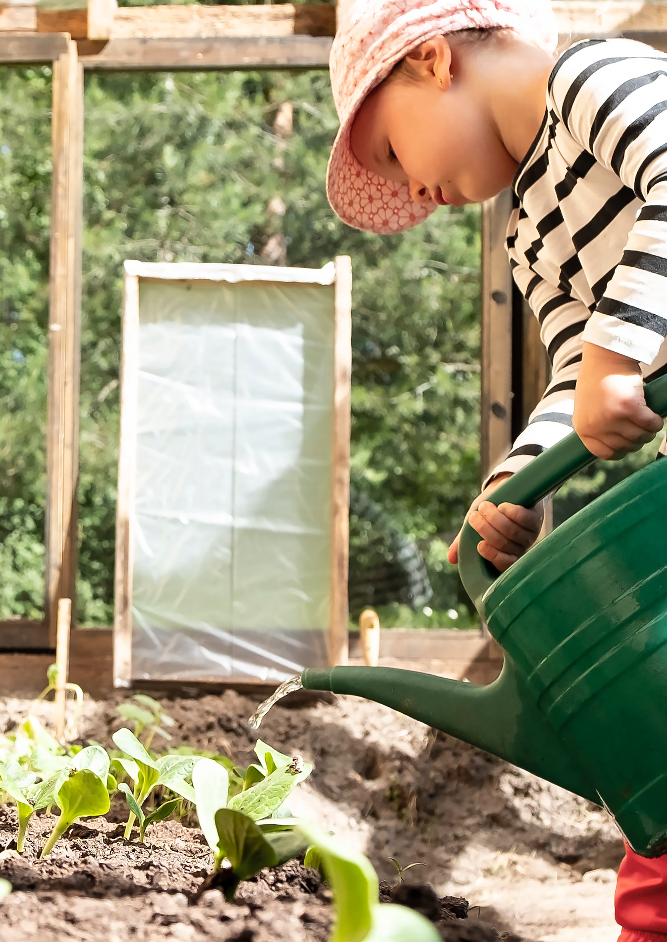 How To Use Cold Frames In Your Garden - The Habitat
