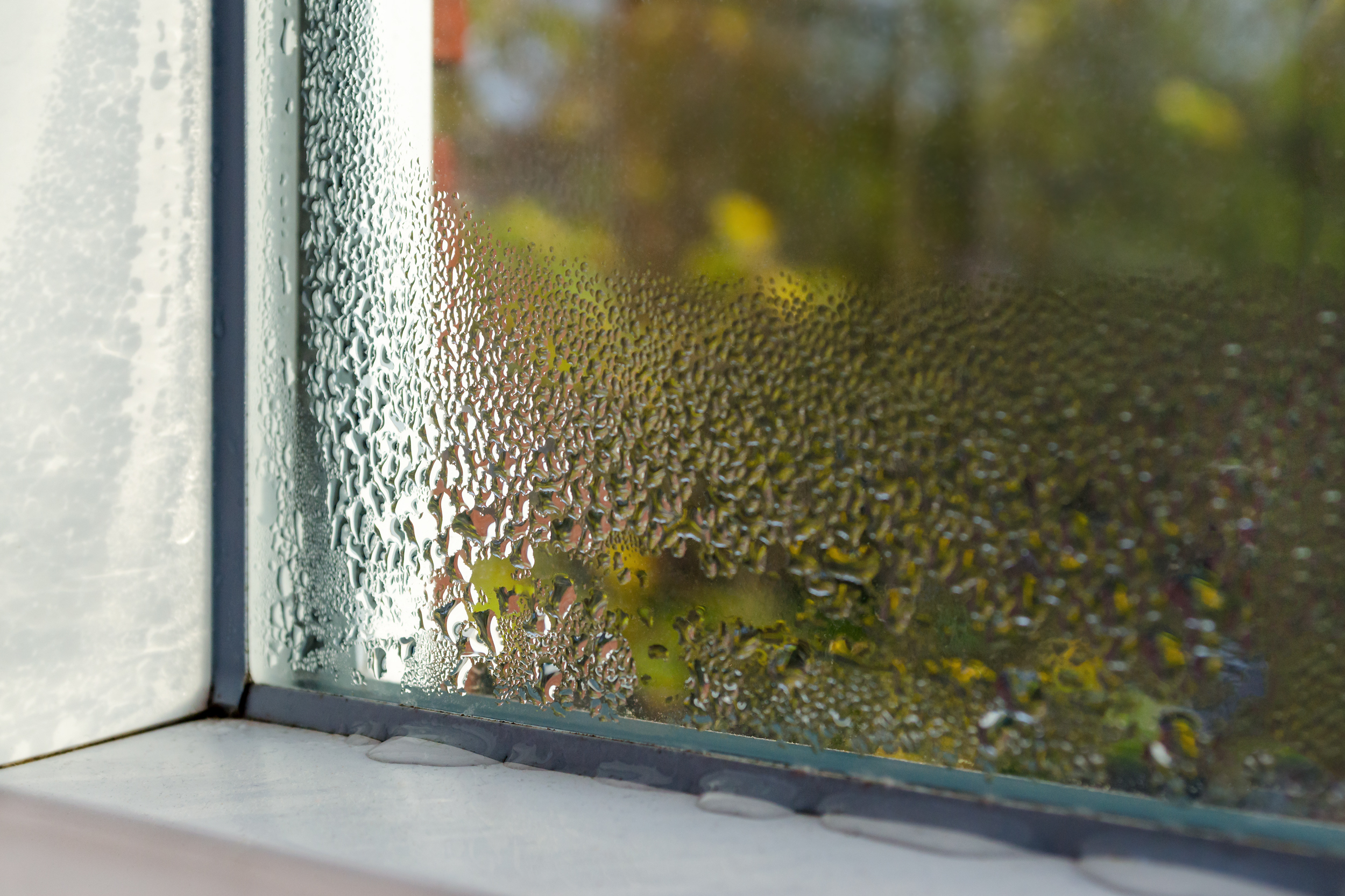 Tips For Fixing and Preventing Sweating Windows The Habitat