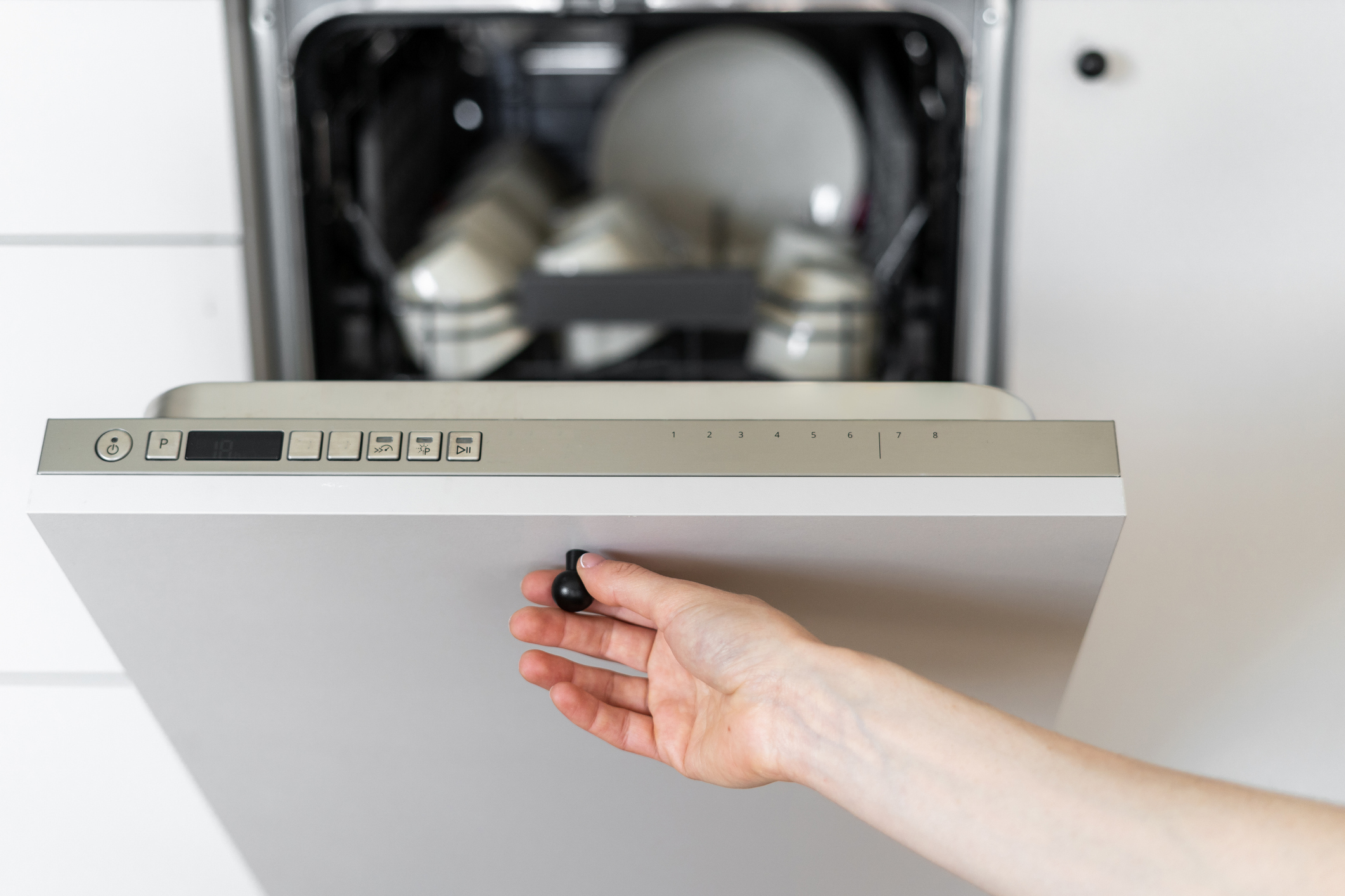 How to Deep Clean Your Dishwasher The Habitat